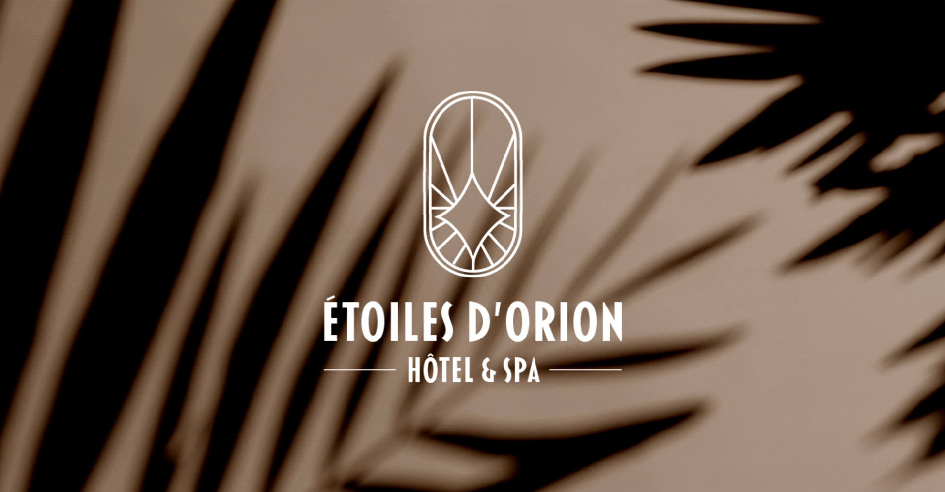 Etoiles d'orion